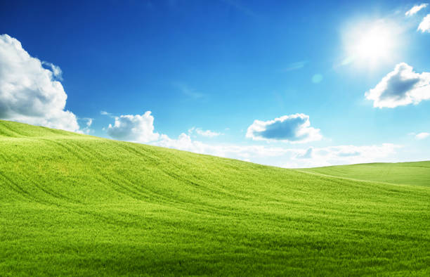 istock field of grass and perfect blue sky 1280312445