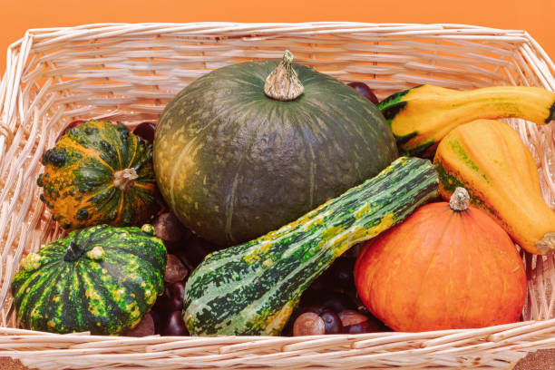 istock Wicker basket with various pumpkins and chestnuts. Autumn harvest 1280315270