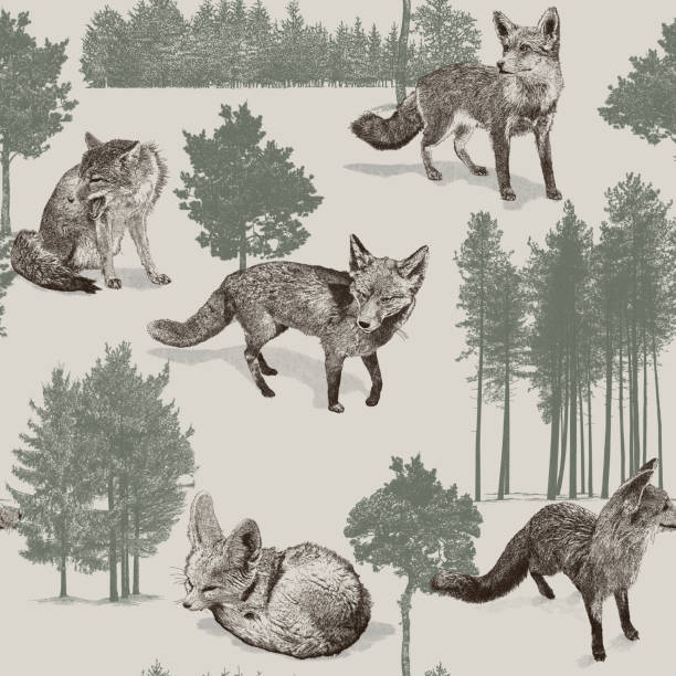 bildbanksillustrationer, clip art samt tecknat material och ikoner med rävar & träd sömlös upprepa - red fox snow