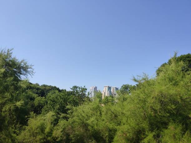 istock tall office building on a green park background 1280319057
