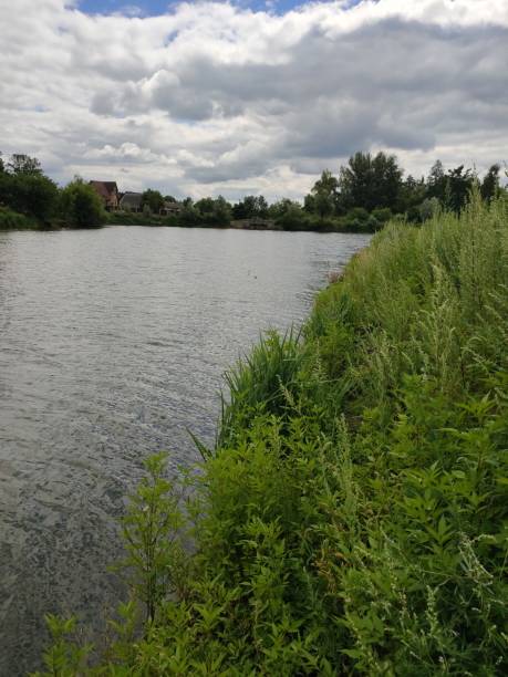 istock large river bed with grass and trees in summer 1280319339