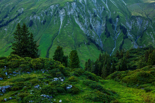 Beautiful Austrian countryside european landscape on a beautiful day
