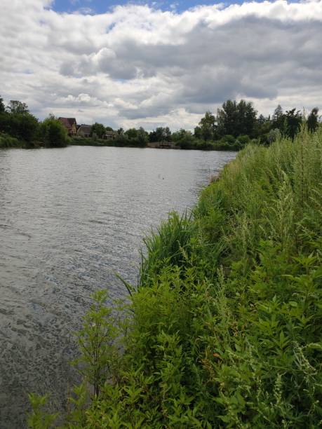 istock large river bed with grass and trees in summer 1280319383