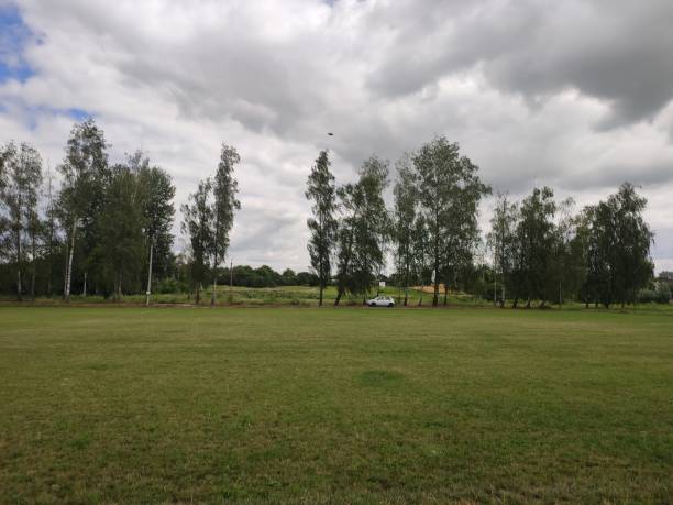 istock large soccer field with green grass in summer 1280319416