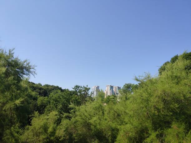 istock tall office building on a green park background 1280319710