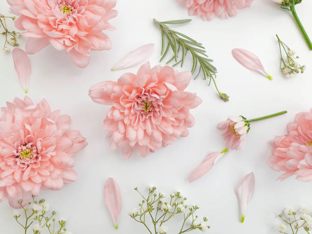 istock beautiful flowers on a   background 1280321330