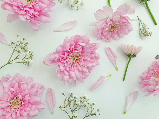 istock beautiful flowers on a   background 1280322389