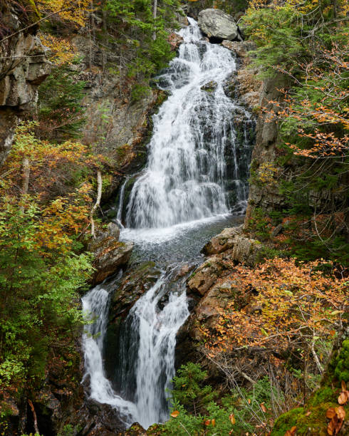 tuckerman ravine trail, jackson, nh - tuckerman foto e immagini stock