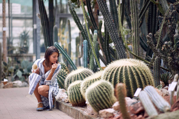 istock Young female visitor studies awesome cactuses 1280323760