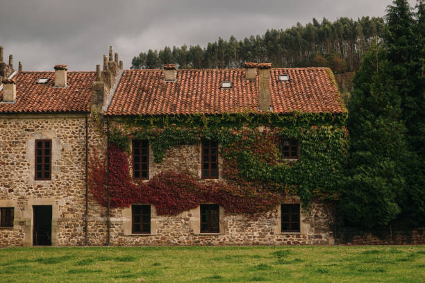 A beautiful, old stone wall house facade with ivy plants