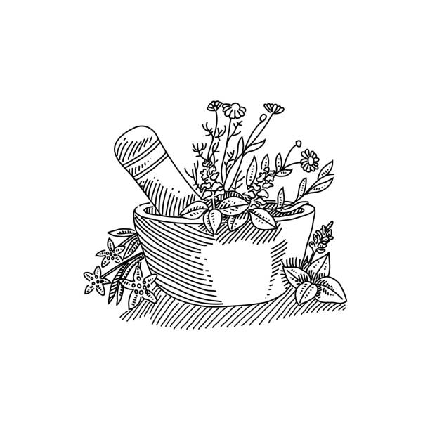 рисунок из миномета и трав - ayurveda stock illustrations