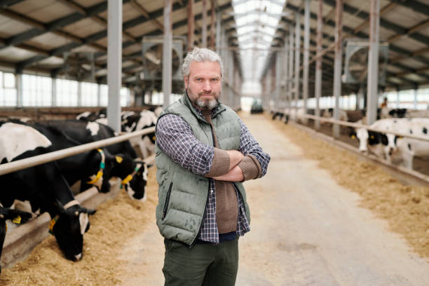 istock Owner of dairy farm 1280326430
