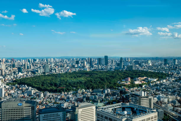 vista de tokio, japón ciudad skyline con el parque yoyogi - tokyo tower shinjuku ward tokyo prefecture communications tower fotografías e imágenes de stock