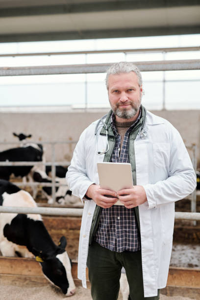 istock Gray-haired veterinarian checking test results on tablet 1280326893