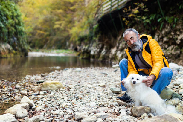 A vital senior man with his cute dog, enjoys a hiking by the mountain river