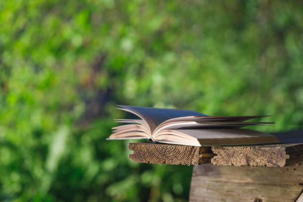istock Book open on a wooden bench in the forest. 1280329287