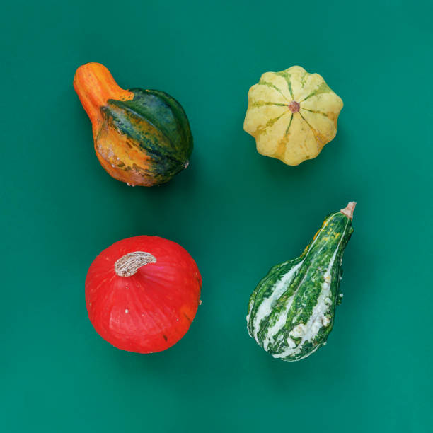 istock Pumpkins and squashes of different shapes on green background. Top view, flat lay 1280333038