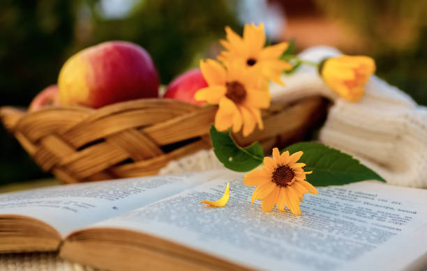 Composition with fresh apples in a basket, an open book and blooming yellow flowers on a garden background