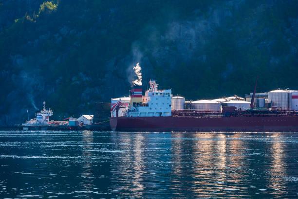 Ships at a harbour in a fjord