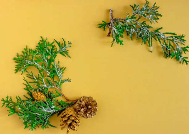 stylish, modern Christmas greeting card - composition of juniper branches and cones. The background is yellow-gold, the colors in the composition are gold, green. perfect gift. Flat lay, copy space, top view. High quality photo