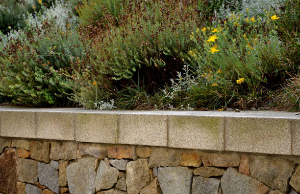 istock beautifully folded retaining wall with a granite attic with small joints. brown beige yellow irregular gneiss stone holding a slope above it. there are undemanding perennials around 1280336446