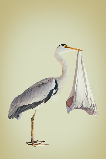 Retro styled image of a stork holding a newborn baby in a white blanket