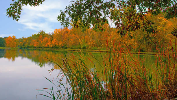 istock Fall Colors with a small pond-Howard County Indiana 1280337409