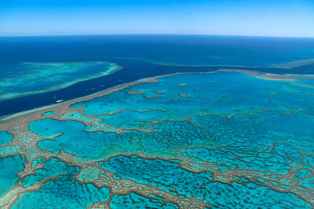 The Great Barrier Reef The Great Barrier Reef from an airplane great barrier reef stock pictures, royalty-free photos & images