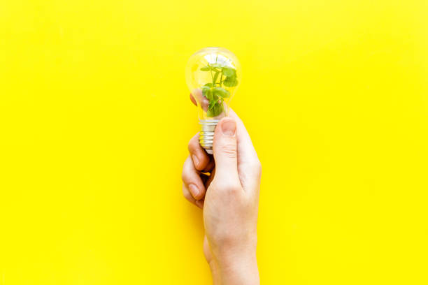 istock Hand holds light bulb with grass inside - green energy concept, top view 1280337975