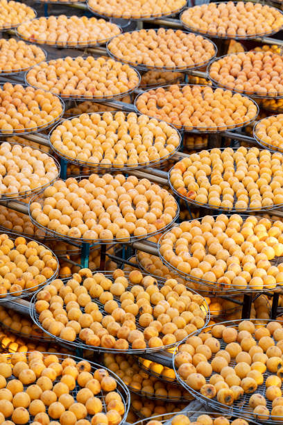 istock Making process of sun exposuring dried persimmon in a sieve in autumn. 1280338048