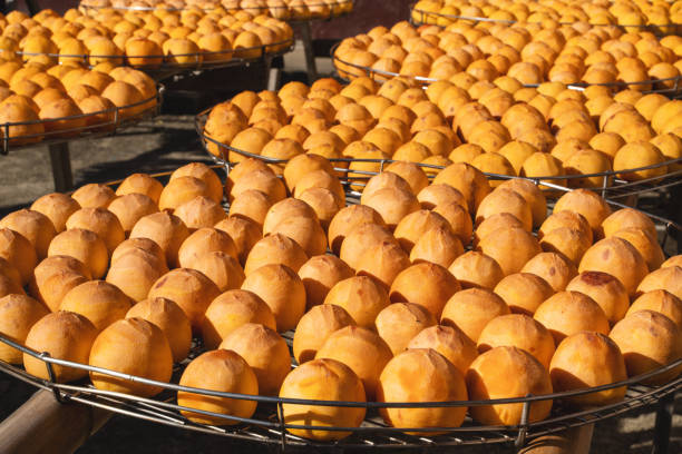 istock Making process of sun exposuring dried persimmon in a sieve in autumn. 1280339170