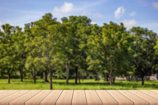 istock Empty wood plank table top with big trees, green grass, sky and clouds with blur background - For product display. 1280341277
