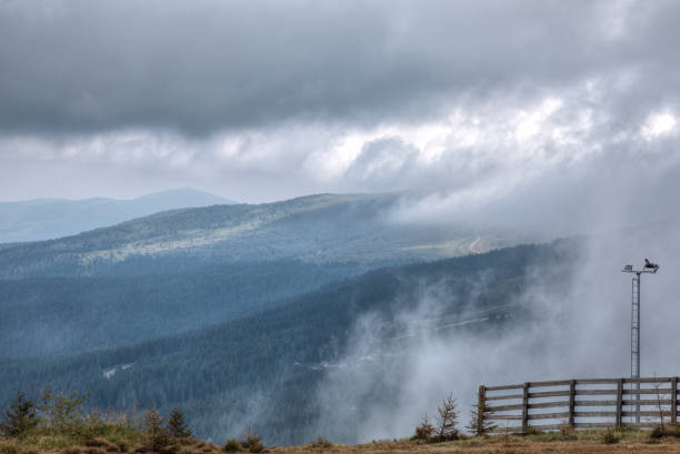istock Summer day on mountain Kopaonik, Serbia 1280342497