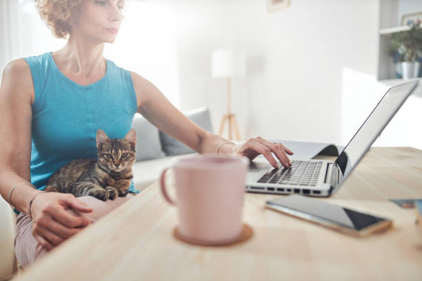 istock Woman working from home on a laptop / notebook with cat pet with her. 1280344579