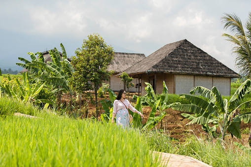 asian pregnant woman at  paddy field and her traditional house in cianjur district, West Java
