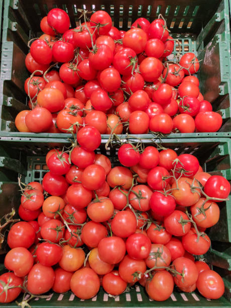 tomate mûre, gros plan. fond de nourriture. tomates, une tomate est dans un panier de supermarché à vendre - nature selective focus green vertical photos et images de collection