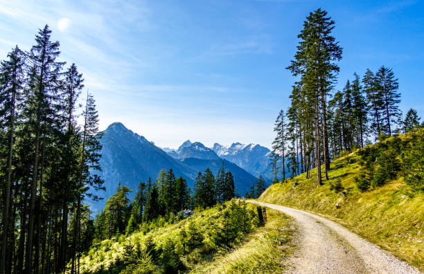 landscape at the achensee lake in austria - dirtroad imagens e fotografias de stock