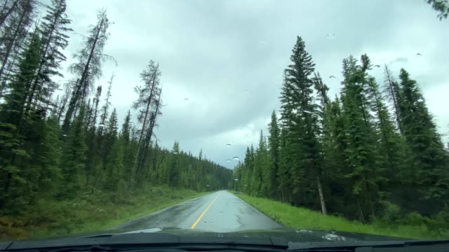 4K POV Video of Car driving on Empty highway in Jasper National Park, Canada