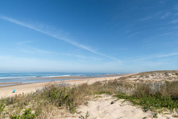 dunas y playa de mimizan en las landas - mimizan fotografías e imágenes de stock