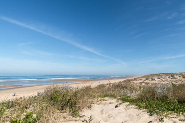 mimizan dunes and beach in the landes - mimizan imagens e fotografias de stock