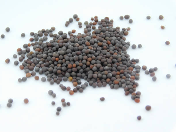 istock Closeup view of mustard seeds isolated on white background 1280360222