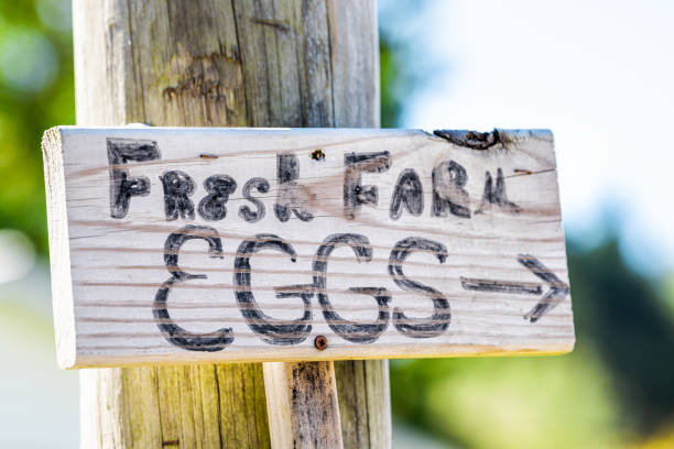 segno di campagna rurale per uova fresche di fattoria segnaletica direzionale in inglese per il cibo di campagna - organic sign food community foto e immagini stock