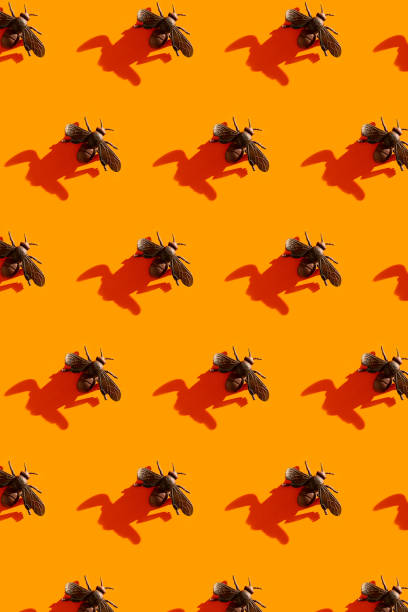 istock Halloween minimal pattern made of fly and shadow on orange background. 1280362522