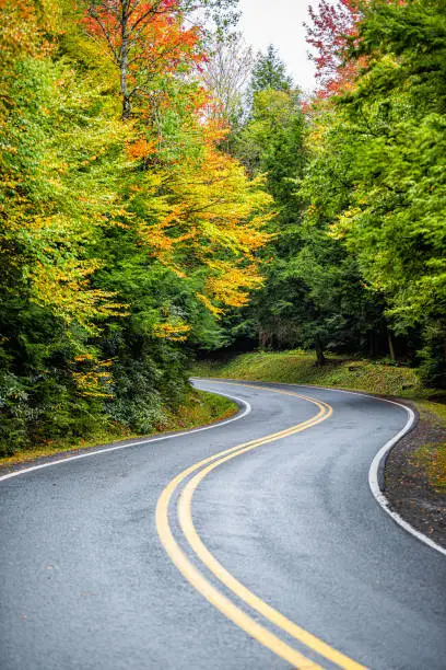 Photo of Colorful yellow orange foliage in autumn fall season in Blackwater Falls State Park in West Virginia with paved asphalt curvy winding road driving point of view