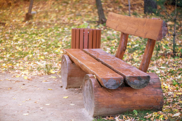 istock wooden bench in the park in autumn 1280363596