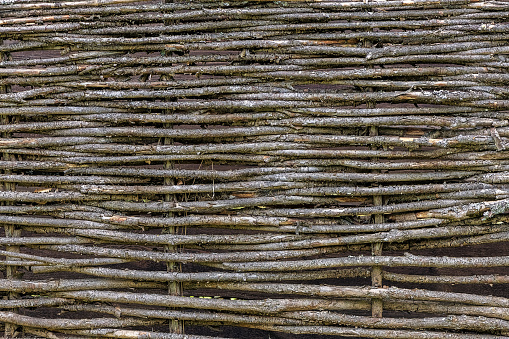 Natural background texture. fence of intertwined branches. copy space