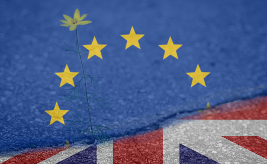 Brexit illustration Selective focus on Flags of the United Kingdom and the European Union on cracked background. Hope for a deal with a flower