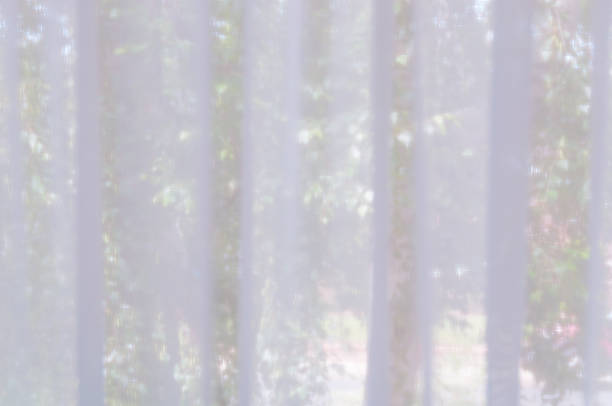 istock Light and see through concept, Classic white sheer curtains hanging over a window with blurred view of green tree leaves outside as background. 1280370652