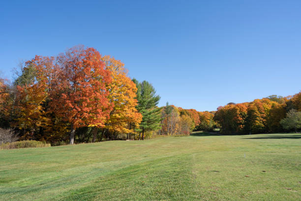 istock Beautiful Autumn Leaves at golf course in Ontario Canada 1280372342