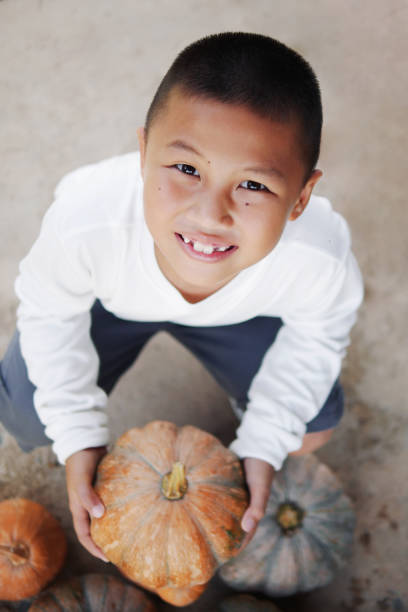 retrato de menino feliz selecionando abóbora no mercado de fazendas orgânicas para decoração de halloween e culinária. - thai cuisine asian cuisine vertical close up - fotografias e filmes do acervo